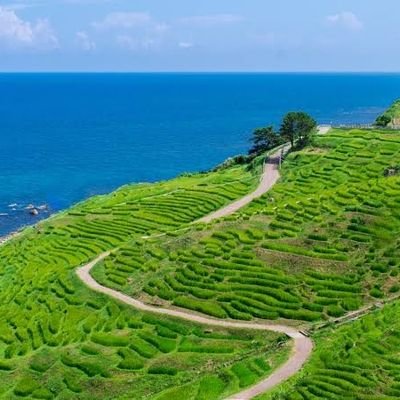 AIで業務を自動化|AIを使う中での気付きを発信|地方の土木系企業に勤務|たまに登山&ほぼ毎日ランニング