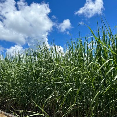 ponpokoponko6's profile picture. 7歳児を育てる高齢ママです。毎日必死に生きてます。