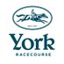 York Racecourse (@yorkracecourse) Twitter profile photo York Racecourse (@yorkracecourse) Twitter profile photo