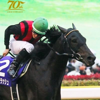 P9OVAhtvRDEIH5I's profile picture. 趣味はスキー、野球観戦(広島カープ)、競馬、乗馬

passcode大好きです。
