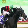 P9OVAhtvRDEIH5I's profile picture. 趣味はスキー、野球観戦(広島カープ)、競馬、乗馬

passcode大好きです。