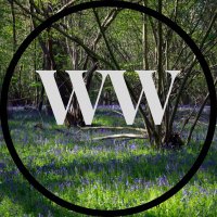 Wensum Woodlanders 🍃💚🍃🌳🦇🌳 (@wwoodlanders) 's Twitter Profile