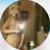 CrisssNaten (@crisnaten777) Twitter profile photo CrisssNaten (@crisnaten777) Twitter profile photo