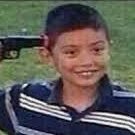 cheemzthedog's profile picture. 