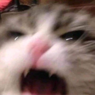 bbky08's profile picture. 