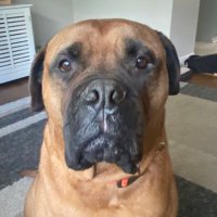 CHAY0S1 (@chay0s1) 's Twitter Profile
