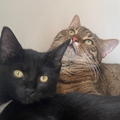 _emette_'s profile picture. 