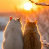 Red heart-sunward(🇨🇳互fo互赞) (@rsunward41932) 's Twitter Profile Photo Red heart-sunward(🇨🇳互fo互赞) (@rsunward41932) 's Twitter Profile Photo