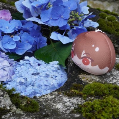 苧環さんのプロフィール画像