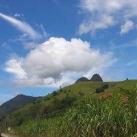✨Life 🍃❤ SDV 💫 (@lifeblessend) 's Twitter Profile