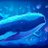 heyitscrypto's profile image