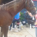 Hope Peters - @HopePeters1 - Twitter