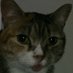 109 (@109ways) Twitter profile photo 109 (@109ways) Twitter profile photo