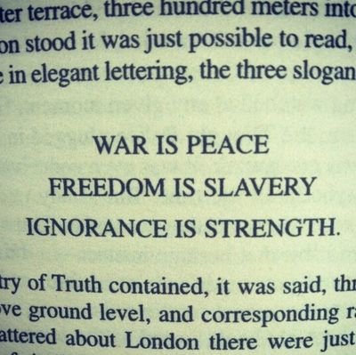 MarioWeirt's profile picture. ⚪️⚽️7⃣⚽️⚪️
#COBW ⚪️ Vak 227 ⚪️ Dad ⚪️ Free-thinking conservative ⚪️terroristen/-pedoverdedigers insta-block⚪️ Veteran, Biker, Drummer & Trucker ⚪️#TrotsOpDeBoer