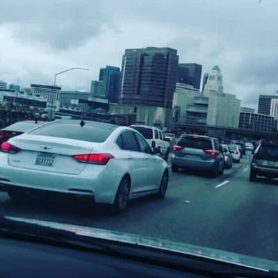 Alex_traderbot's profile picture. Entrepreneurs