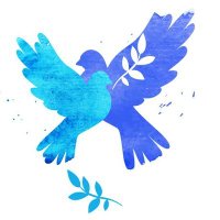 Assish kumar chetty (@assishkuma6369) 's Twitter Profile