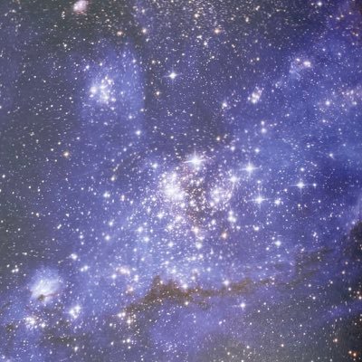 LiYILIN72's profile picture. 🧡🦦🪨🦌🎸💂🏻‍♀️🦕🧡 🇹🇼社畜