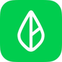 Branch (@branch) 's Twitter Profile