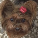 joy cheng - @cheng_joy96098 - Twitter