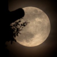 Jay Vise (@jayvise) 's Twitter Profile Photo