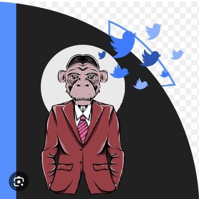 cubalapoto's profile picture. Web3 Enthusiast & NFT Collector