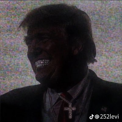 Trumptonic's profile picture. MAKE AMERICA GREAT AGAIN 🇺🇸 GEN Z FOR TRUMP