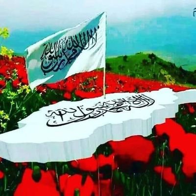 omar_mukhl52781's profile picture. 