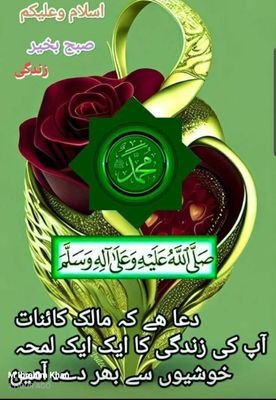 hadi1549849's profile picture. 