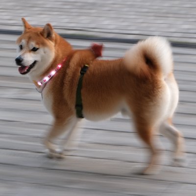 product designer/indie hacker/ai tool builder/infinite brain
