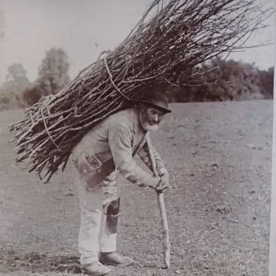 IFlyOverFla's profile picture. Cessna. Fly good. Land gooder.