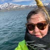 Bergdís Ellertsdóttir (@bellertsdottir) 's Twitter Profile