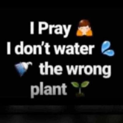 RafiuAzeez13248's profile picture. Apple of God's eyes.