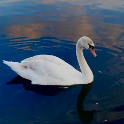 urfavegirl2x's profile picture. just existing