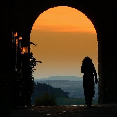 laisionh's profile picture. Cse 22 & 24 Guide, voice of poor ,student altruist, traveller, dreamer, whistleblower, truth speaker...