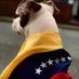 Chivo 🇻🇪. (@joseluisvi72266) Twitter profile photo Chivo 🇻🇪. (@joseluisvi72266) Twitter profile photo