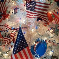 America1st (@redwhitenblue66) 's Twitter Profile