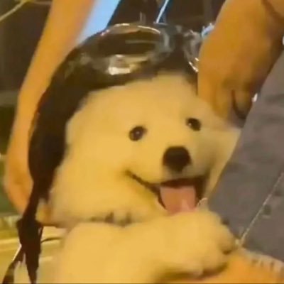 Babadookxxx's profile picture. 