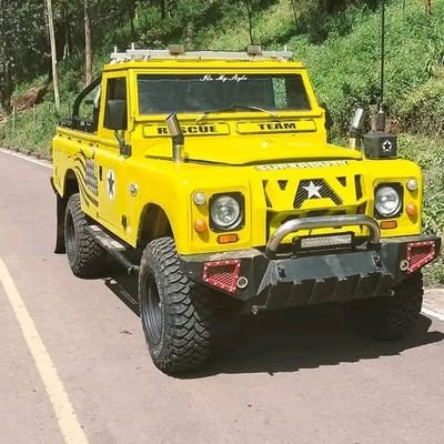 mutumanewt's profile picture. complicated