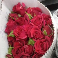 Israa Al-Habbaba (@omarhbahbe358) 's Twitter Profile