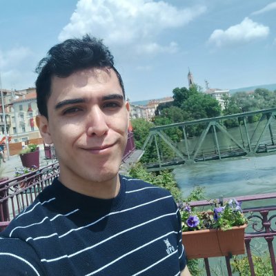 ElAntiRicardo's profile picture. Programador, traductor, amante de los juegos, el anime y la libertad.