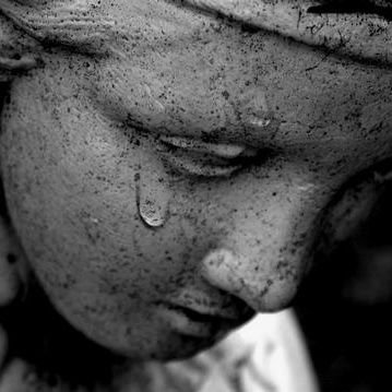 Cath81827301's profile picture. Insultes directement signalées et personne bloquée ! 😉