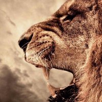 Ömer 🇹🇷 (@gsmedyamgs) 's Twitter Profile Photo