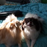 WillowButters (@jamiewa14716694) 's Twitter Profile