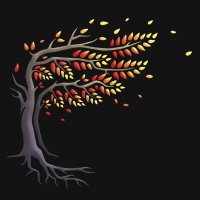 Ashes Moments 🐦‍🔥 (@ashesmomentsyt) 's Twitter Profile Photo