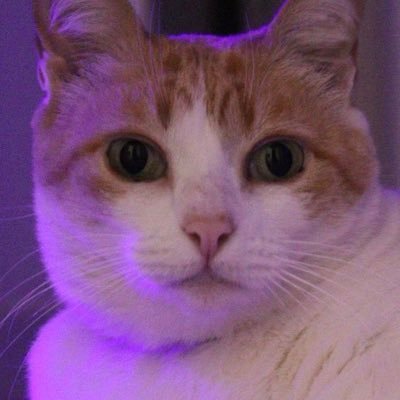 Sauloさんのプロフィール画像