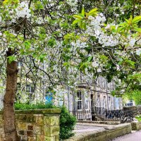 St Andrews History (@standrewshist) 's Twitter Profile