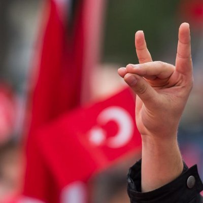 turkiye_sibel's profile picture. Türk birliği savunucusu 🇹🇷
