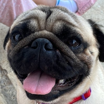 medicenfrida's profile picture. 