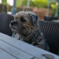 ONSLOW_bt (@onslow_bt) 's Twitter Profile