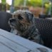 ONSLOW_bt (@onslow_bt) Twitter profile photo ONSLOW_bt (@onslow_bt) Twitter profile photo
